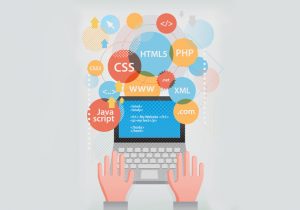 web program