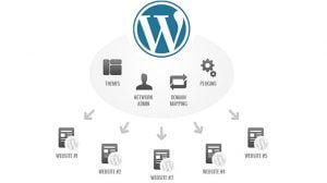 cara mengaktifkan wordpress multisite