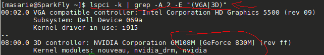 cek model dan tipe independen GPU