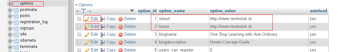 Merubah alamat website non WWW ke WWW pada Wordpress merubah siteurl dan home pada database wordpress untuk merubah non www menjadi www
