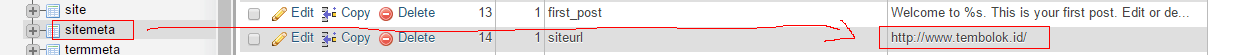 merubah site meta table record database wordpress untuk merubah non www menjadi www