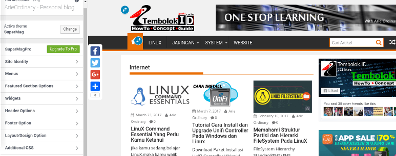 cara menata layout theme wordpress